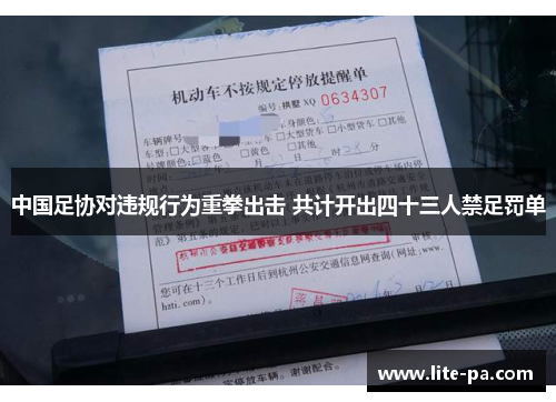 中国足协对违规行为重拳出击 共计开出四十三人禁足罚单