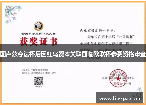 图卢兹夺法杯后因红鸟资本关联面临欧联杯参赛资格审查 图卢兹夺法杯后因红鸟资本关联面临欧联杯参赛资格审查